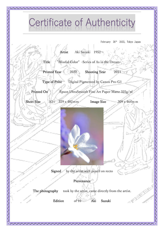 "Gesegnete Farbe" -Dream Comfort Serie-