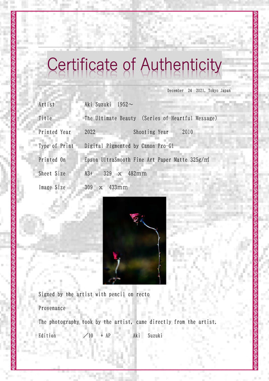 "Extreme"-Nachricht-