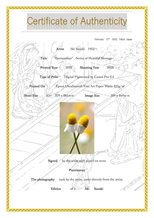 "Mutsumajiku" -Serie Dream Comfort-