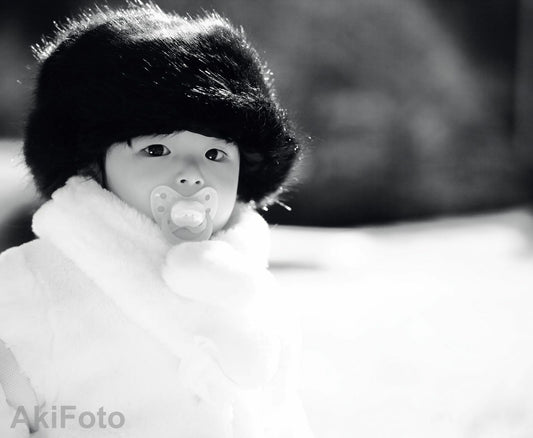 《來自北國》-幸福大師系列-